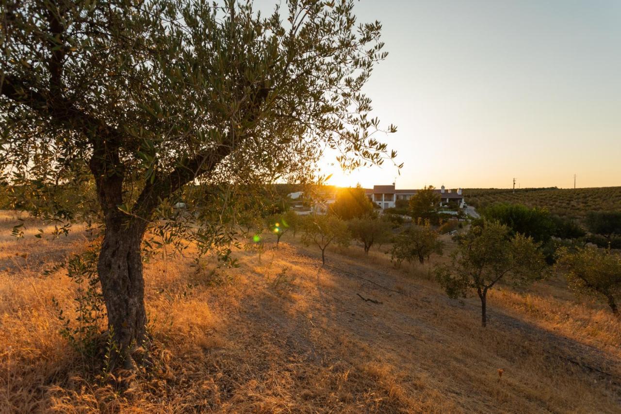 مورا Monte Da Estrela - Country House & Spa المظهر الخارجي الصورة