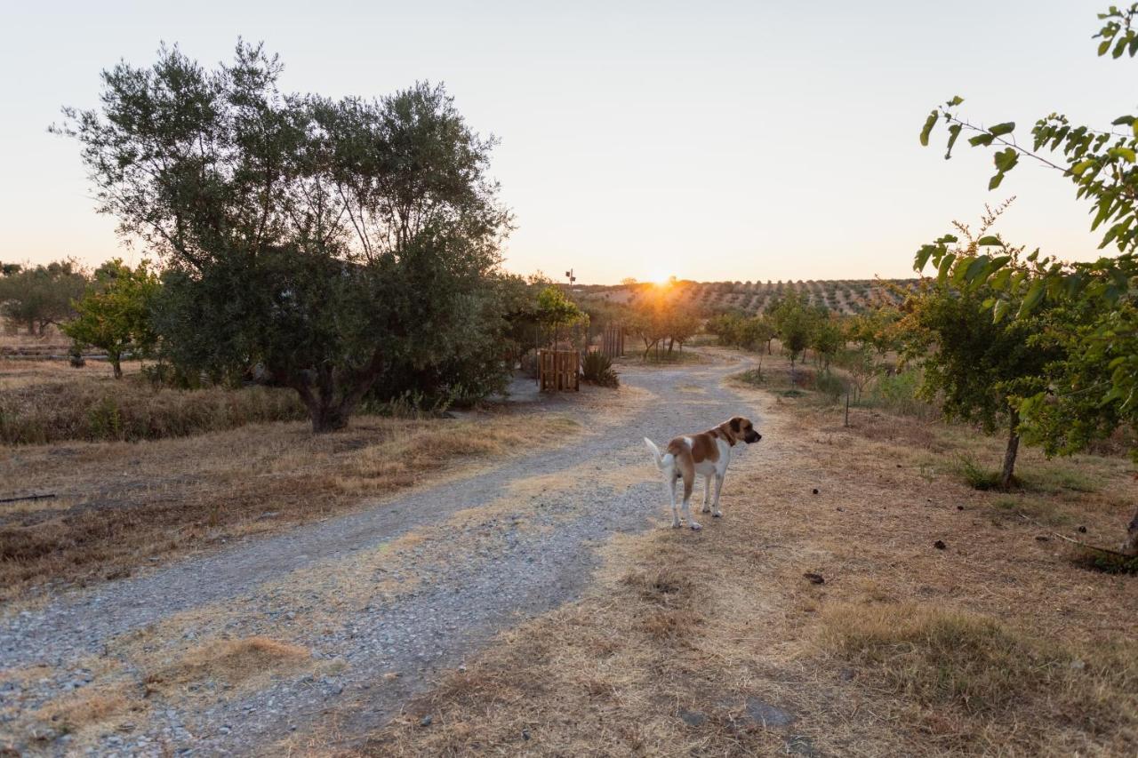 مورا Monte Da Estrela - Country House & Spa المظهر الخارجي الصورة